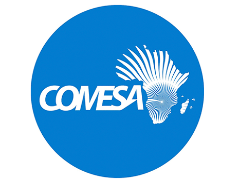 Sommet des Chefs d’État et de Gouvernement du COMESA …